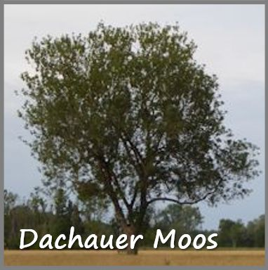 Dachauer Moos